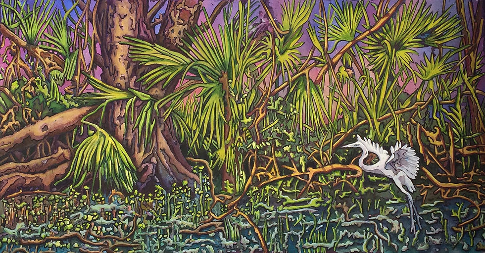 Palmetto Swamp