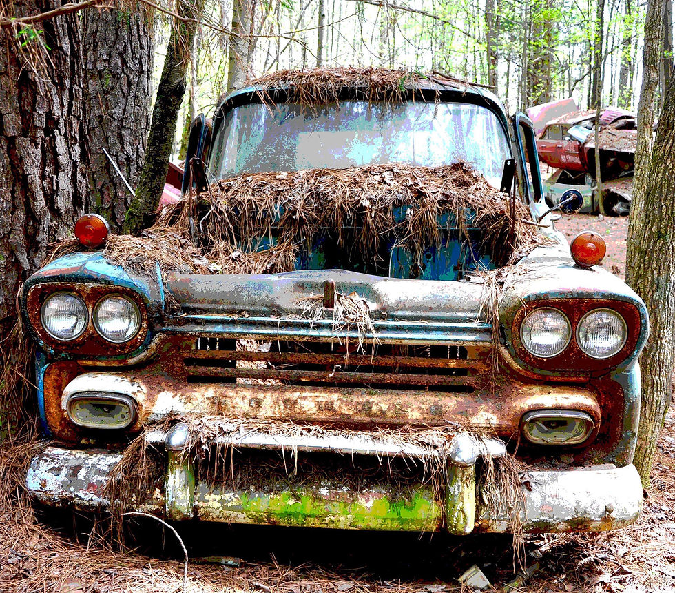 The Ride