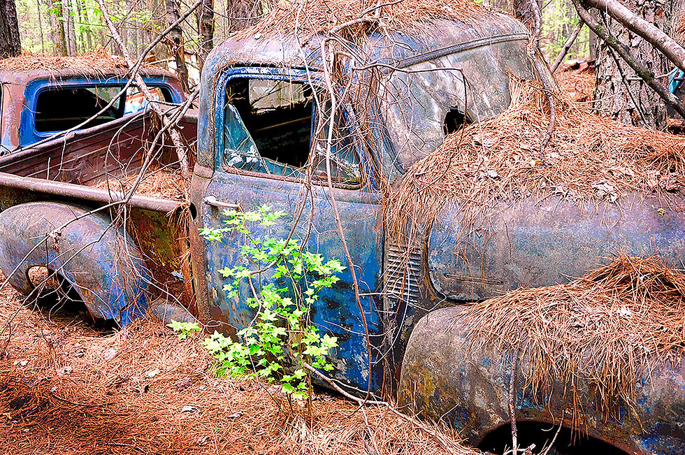 Old Timer