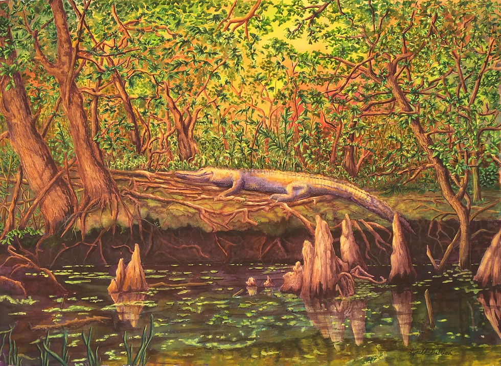 Still and Serene