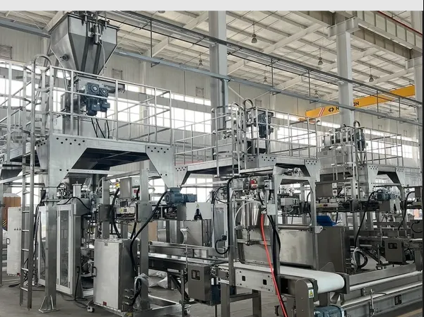 Automatic Packaging Machine