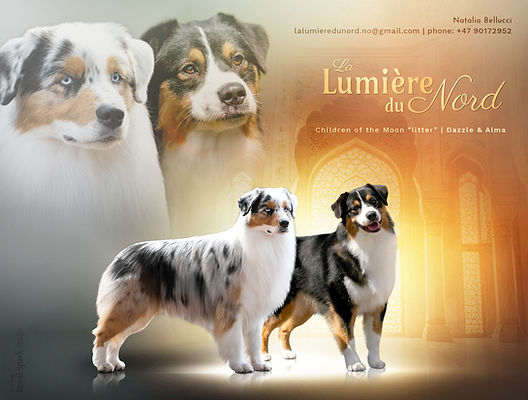La Lumiere du Nord_edited.jpg