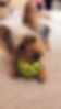 DA46A9A6-7A24-459F-8762-7C9A92BC5297.JPG