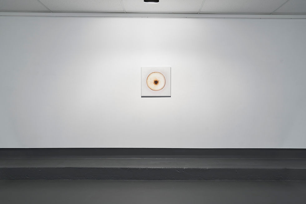 're-marks' (2023) Installation View 5