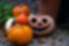 9D5A0148 copy.jpg