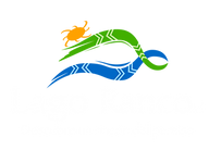 Logos con transparencia-01 Final (1) 2.png