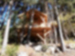 Cabane des pins sylvestre