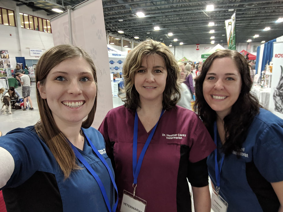 At the Pet Expo