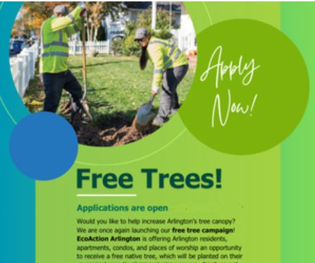 Fall 2026 Tree Planting Program - Apply for a free tree!