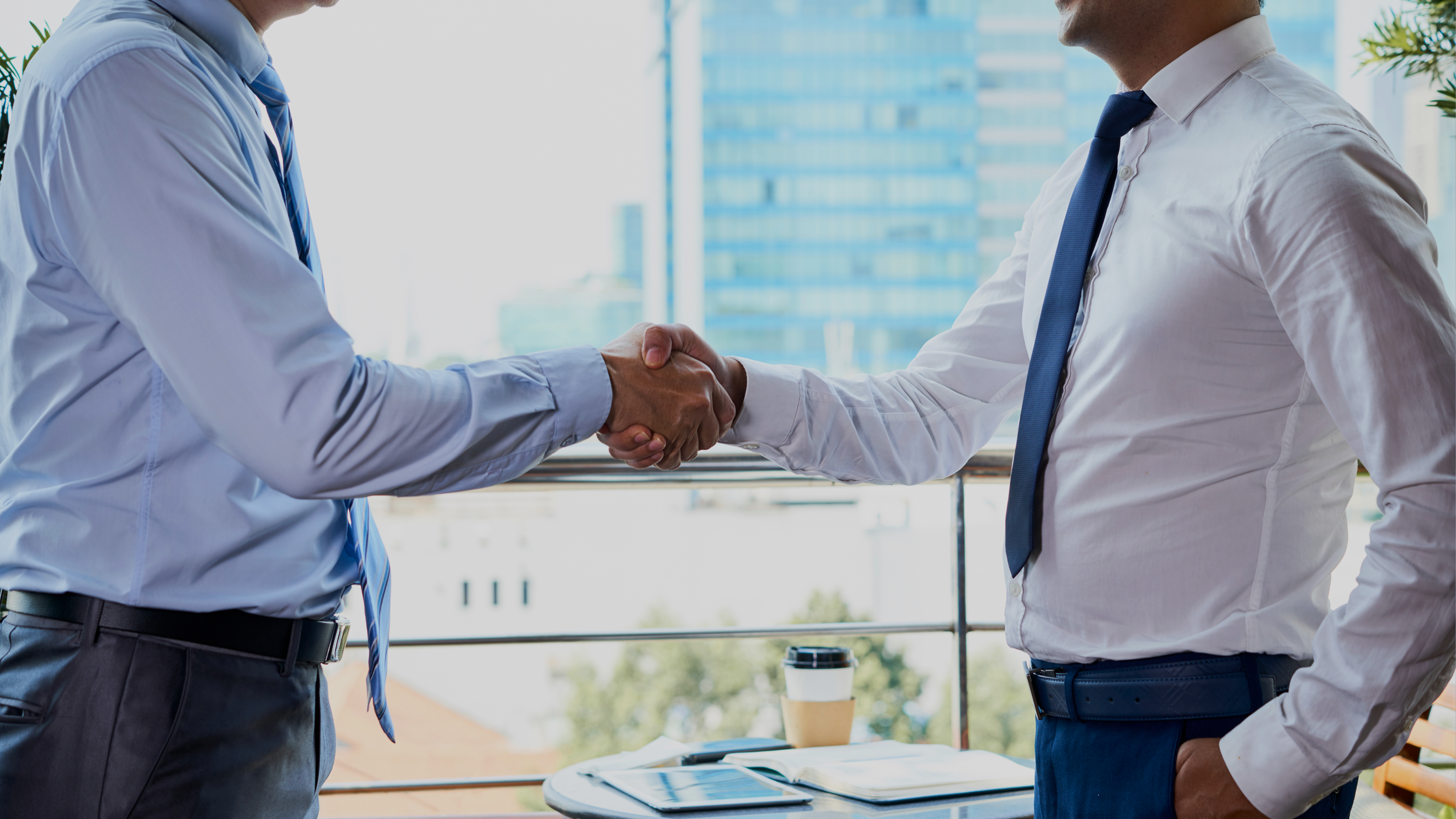 Qual o tipo societário ideal? Holding S.A. ou Ltda.?