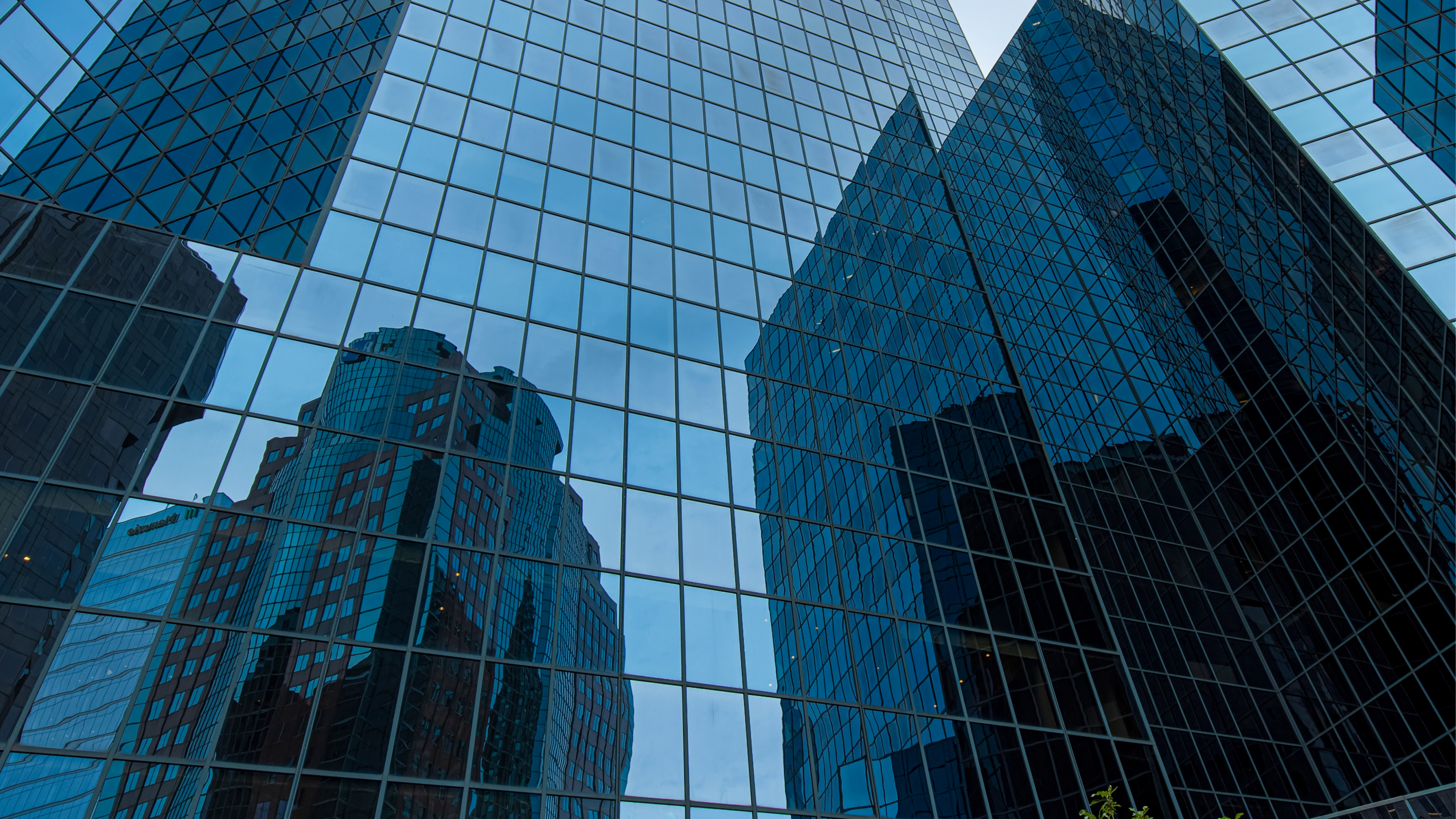 Você sabe o que é e como implementar o Compliance Societário na sua empresa?