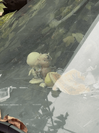 Adobe Express - IMG_8619.gif