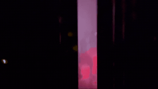 Adobe Express - IMG_3539.gif