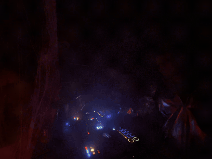 Adobe Express - IMG_8820.gif