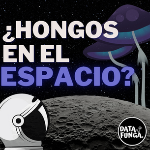 ¿Hongos en el espacio?
