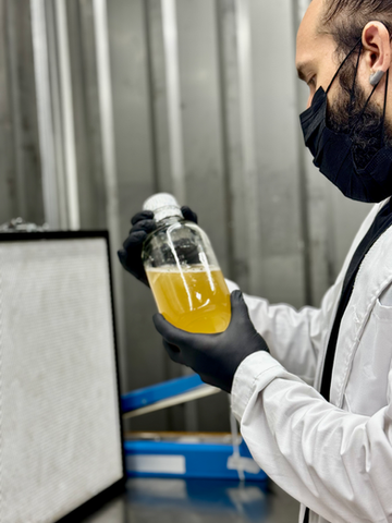 Laboratorio, micelio en medio liquido cultivo de hongos