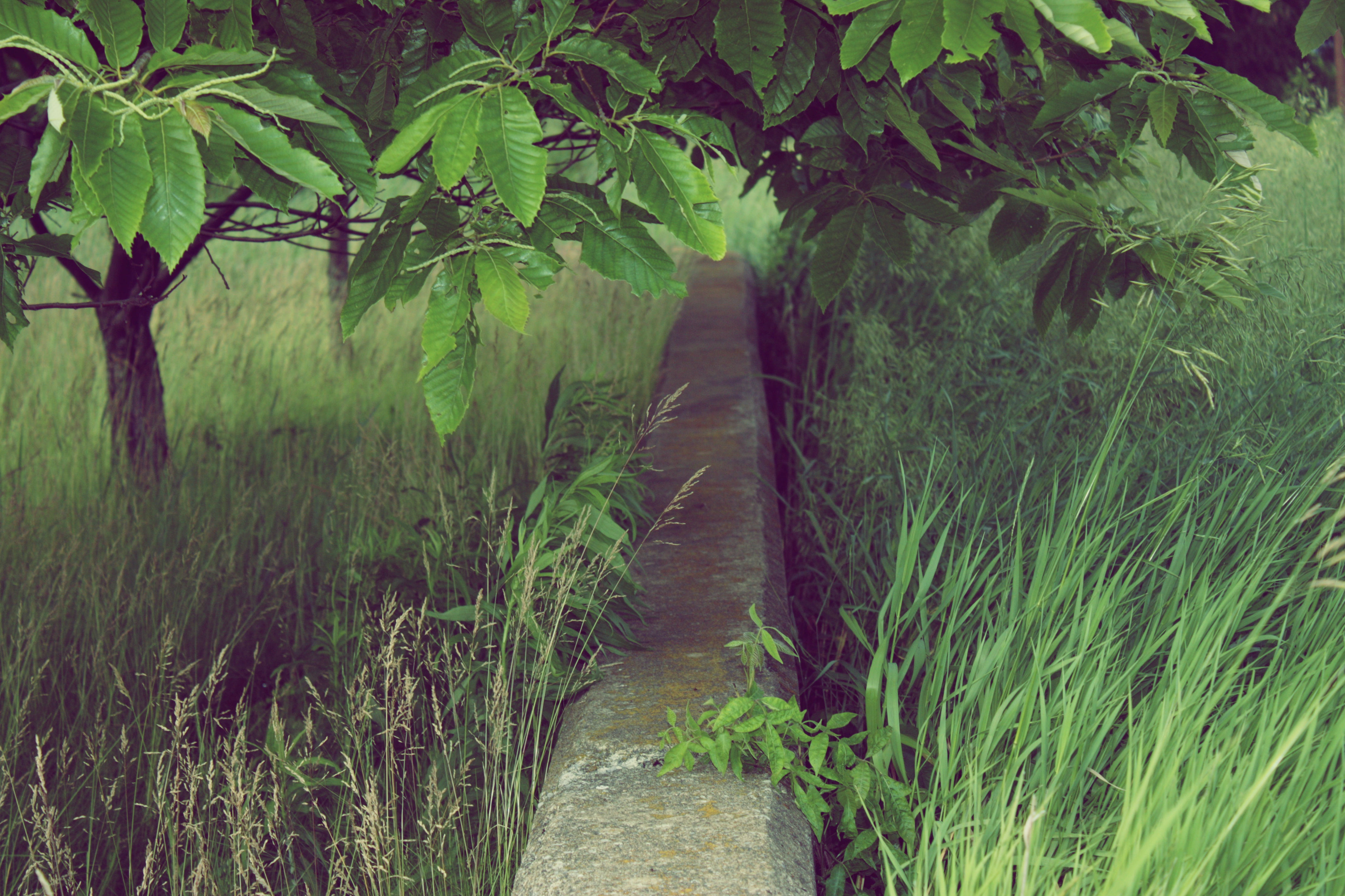 Untitled, Bellefonte, Pa (13" x 19")