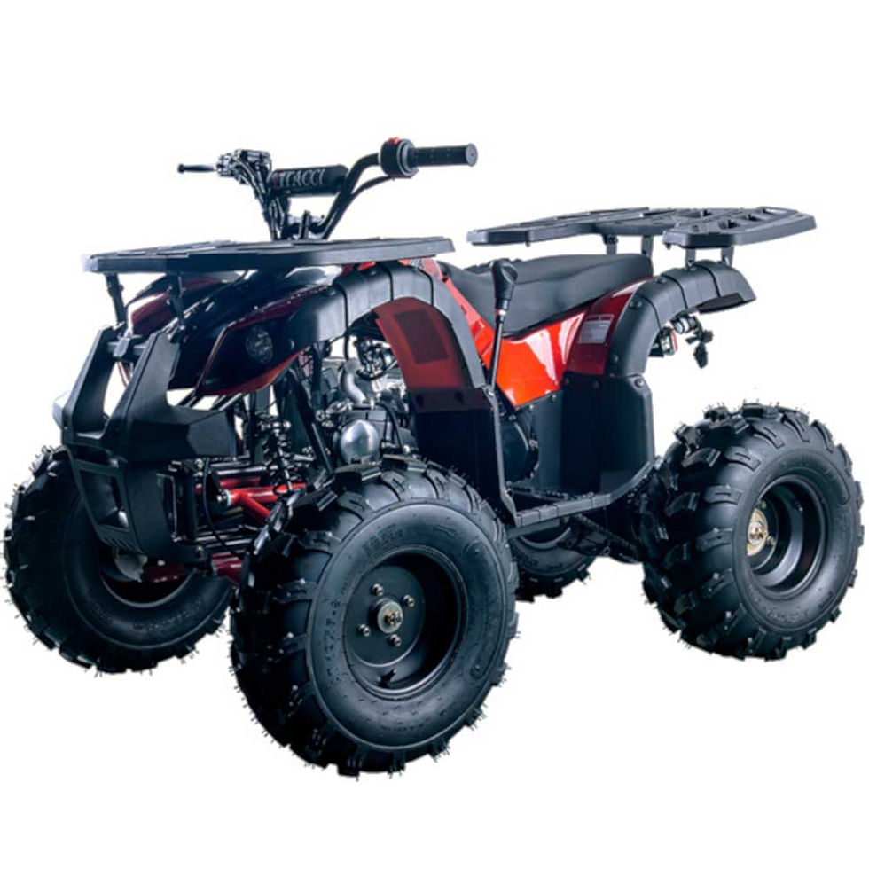 Miniatura: Vitacci Rider 10 125cc