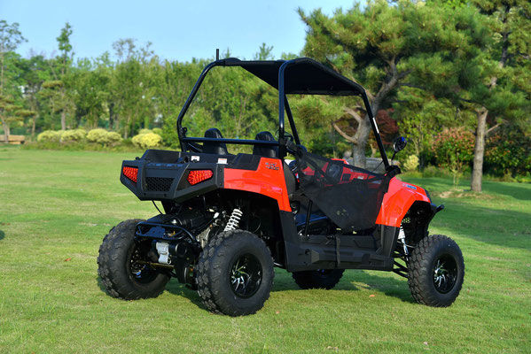 Miniatura: Blade 200 EFI