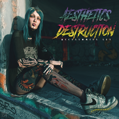 AESTHETICS DESTRUCTION
