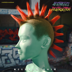 AESTHETICS DESTRUCTION (BLENDER HAIR)