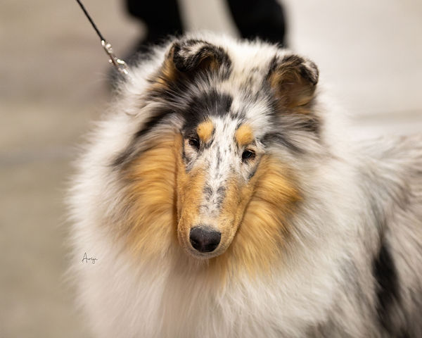 Sophie cca head sho.jpg