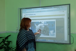 изображение_viber_2025-01-14_09-05-20-288.jpg
