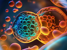 Revitalizing Health using Human Cell Tissue for Joint Regeneration and More