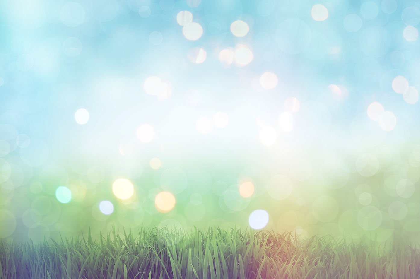 grass-bokeh.jpg