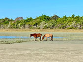 Beaumare - NC Salt Water Vacations - Crystal Coast - Atlantic Beach NC