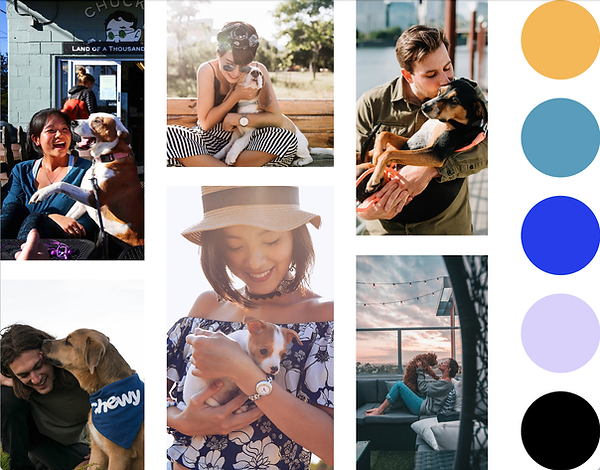 Collage of dogs and their owners