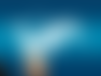 Email marketing specialist managing automated customer lifecycle campaigns