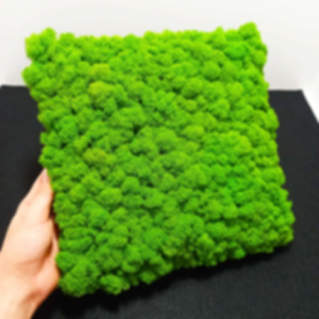 Square 正方形
