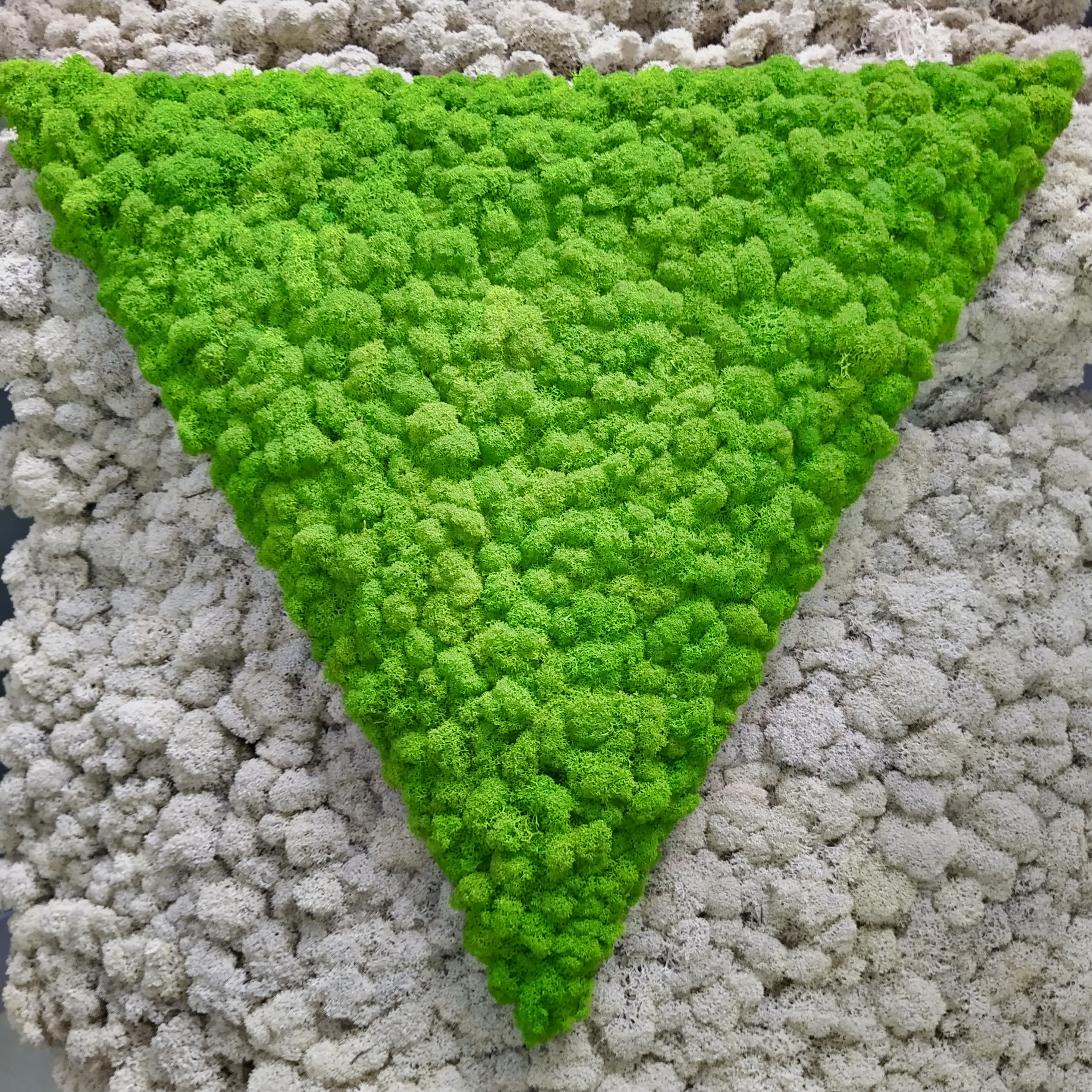 Equilateral Triangle 等邊三角形