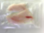 Jolthead Porgy