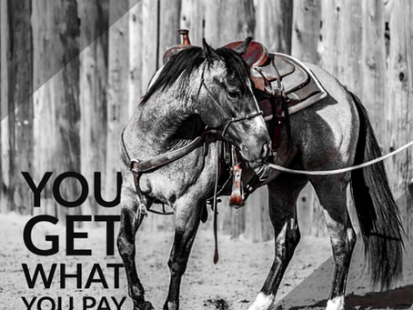 You get what you pay for.