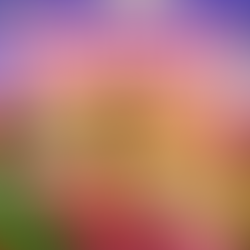 Restitched: 2026 Development Goals