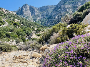 Some expat coaching tips if you're Not sure where expat life is taking you