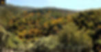 dehesa-del-camarate-panoramica-1.jpg
