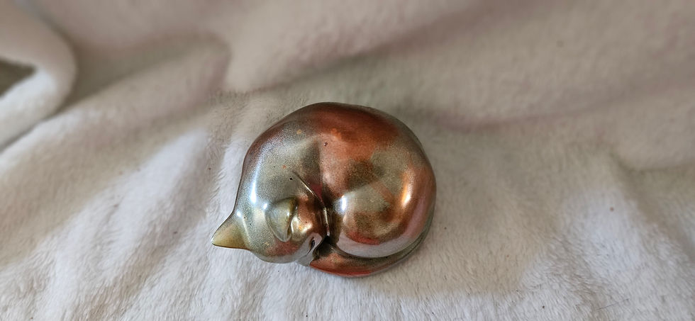 Thumbnail: Sleeping Cat