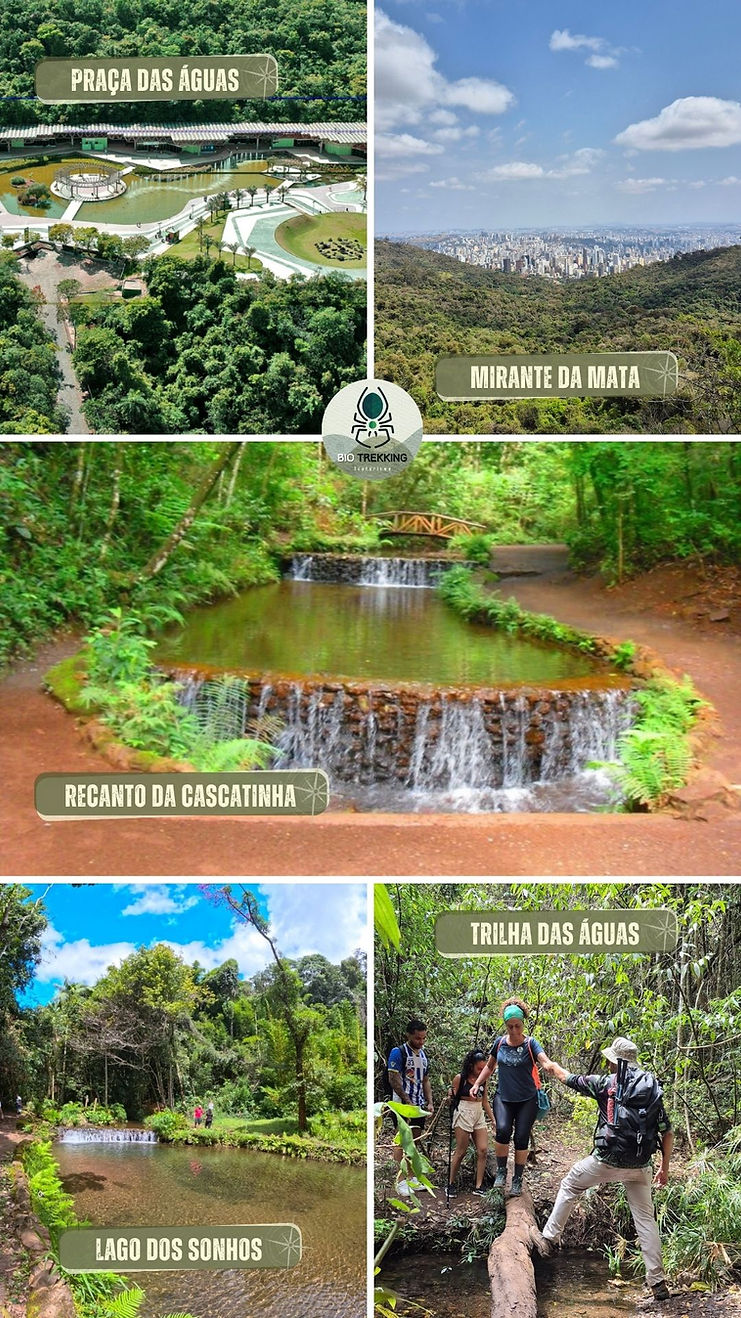 Mirante da mata.jpg