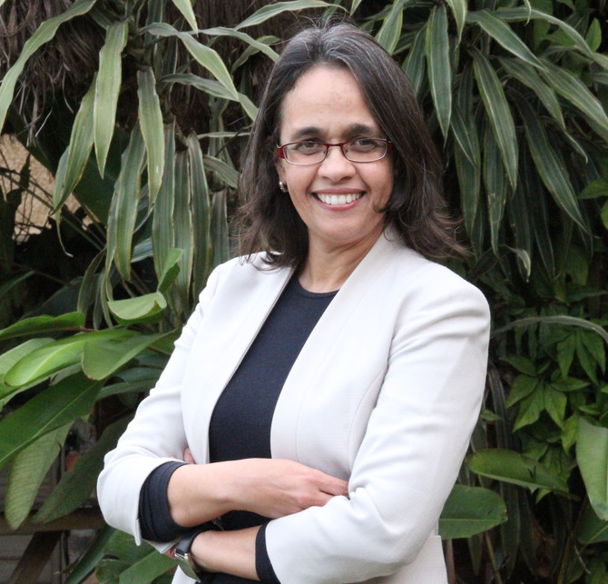 Rousiley Maia, pesquisadora do Instituto da Democracia, receberá Prêmio Direito Humanos 2018