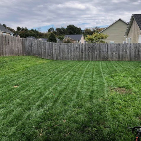 Grass instalation, landscaping.