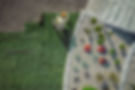 landscaper-laying-sod-yard-design.jpg