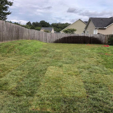 New sod installation in sloped backyard with freshly laid turf and visible seam lines, improving lawn drainage and curb appeal.
