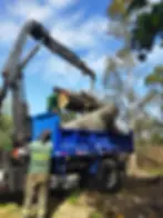 A JMS Tree Service tree removal crew loading large cut tree logs onto a truck using a crane for hauling and cleanup in Asheville, NC.