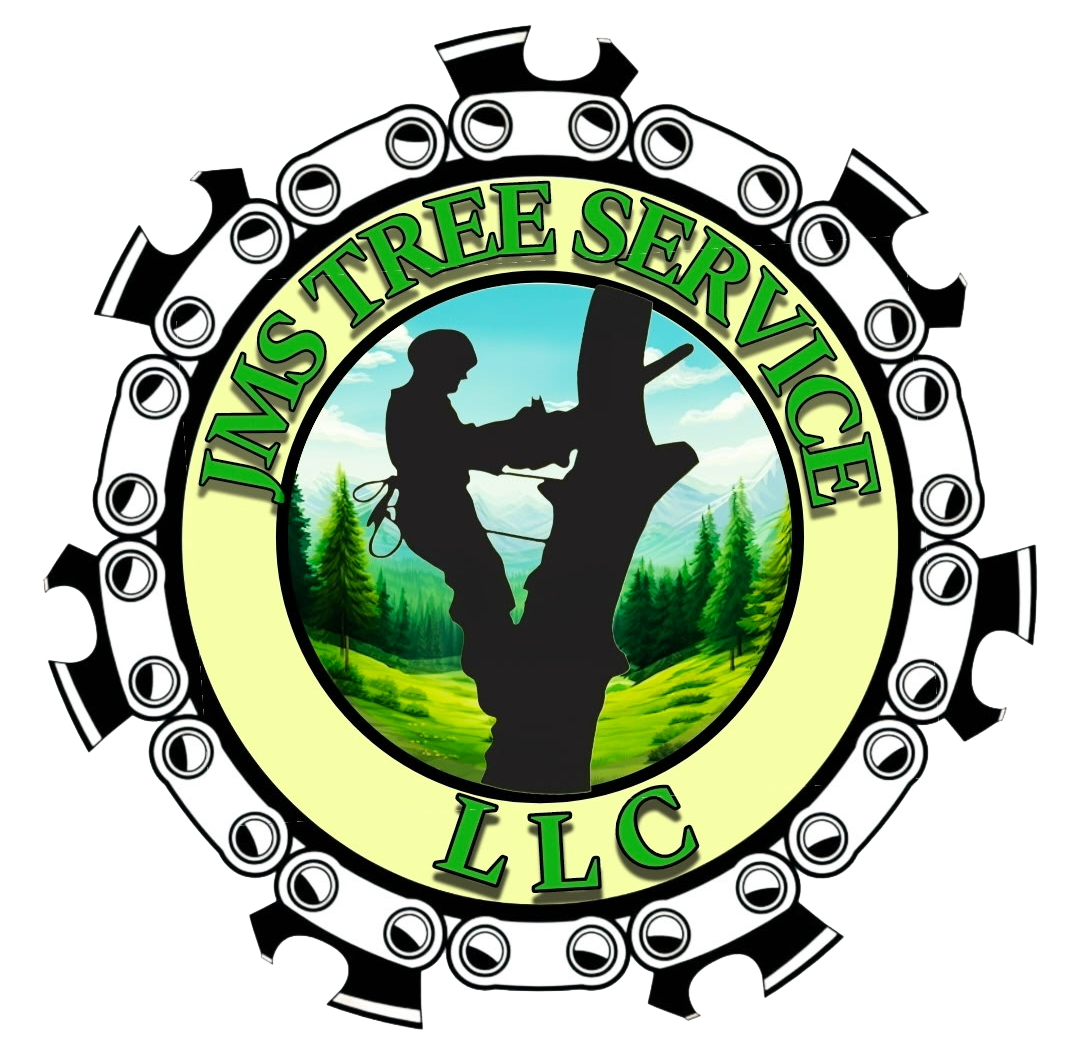 JMS Tree Service logo. Tree services in Asheville, NC. Tree removal, tree pruning, tree trimming, land clearing.