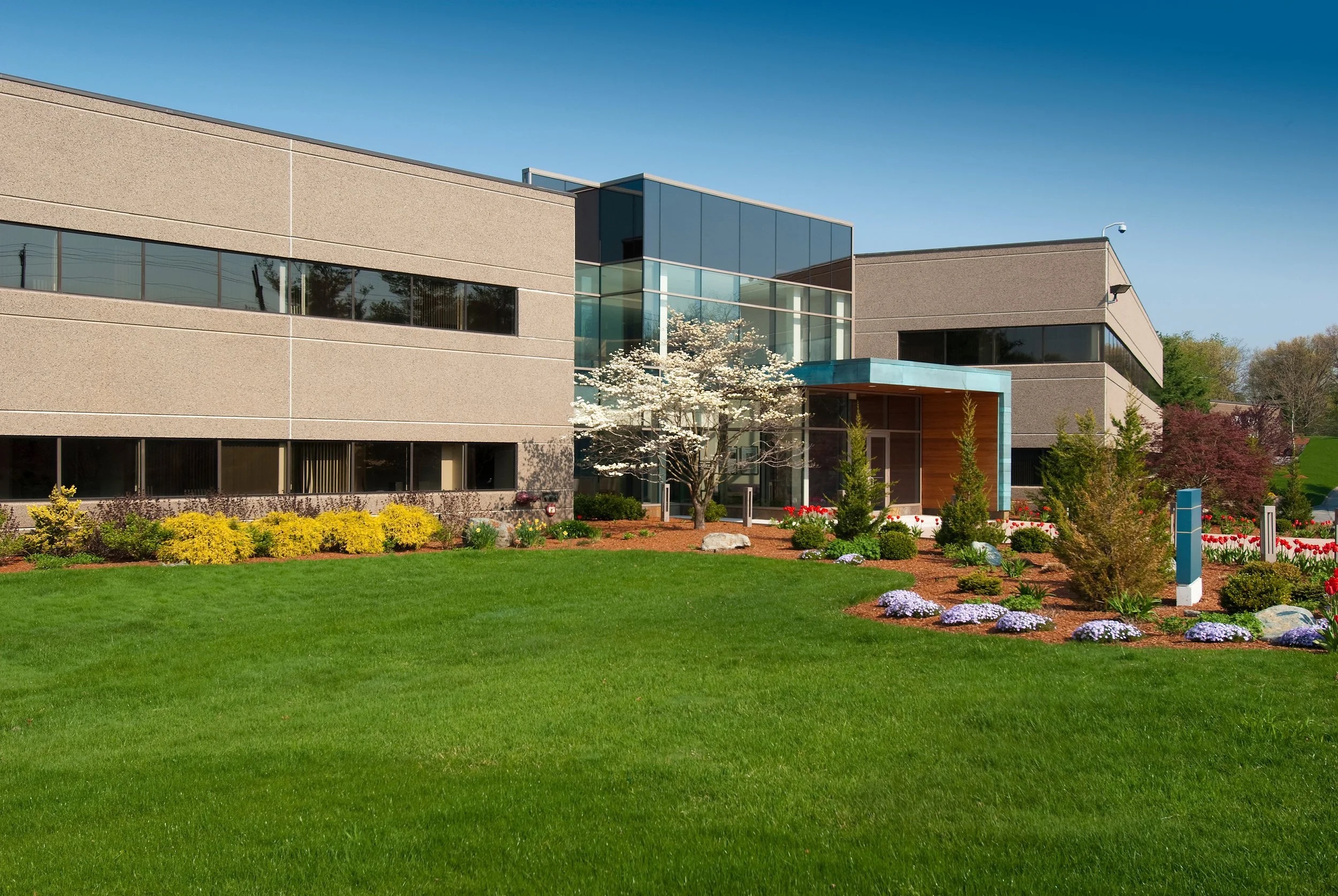 Well-maintained commercial property with a freshly cut lawn, mulched beds, flowering plants, and trimmed shrubs in Western North Carolina.