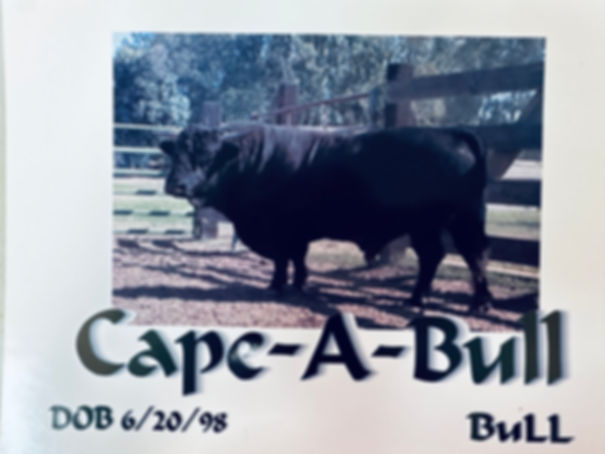 D & J Cape-A-Bull