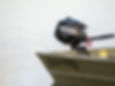 Thumbnail: MERCURY 2.5HP ENGINE 1F02201KK CARBURATED TILLER HANDLE 15" LENGHT NEW MOTOR
